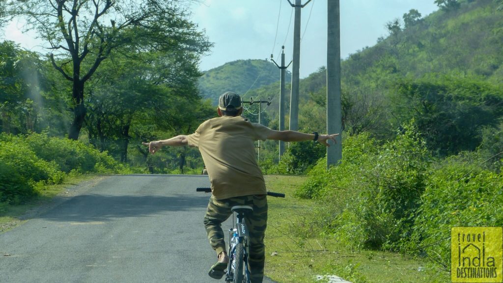 Bicycle Tour in Udaipur