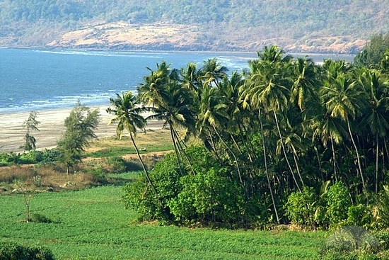 Dapoli Beach