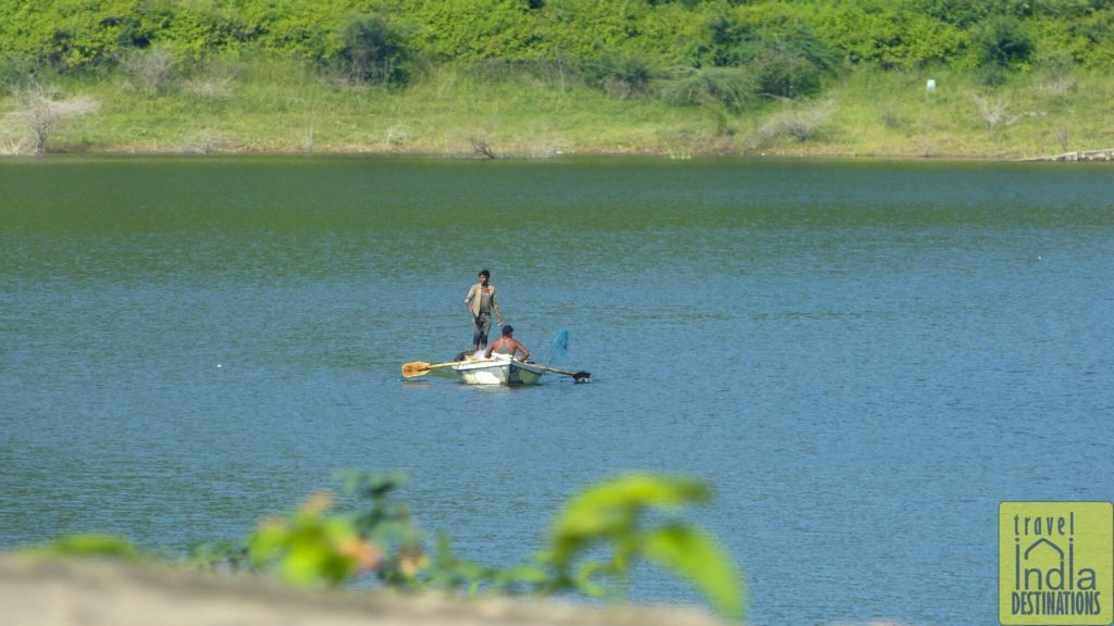 Bicycle Tour in Udaipur