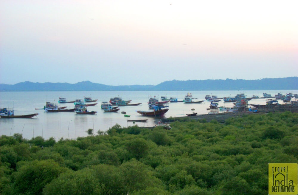 Fishing Boats in Vasai