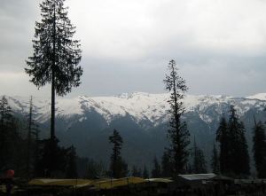 Honeymoon in Himachal Pradesh, India