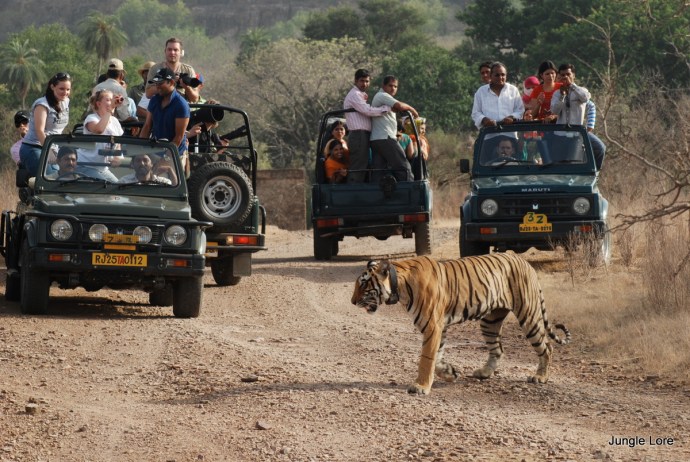 Indian Wildlife Sanctuary
