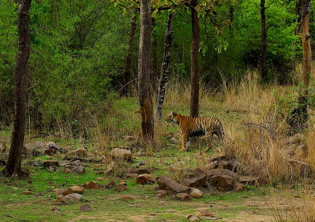 Nagpur Honeymoon Maharashtra