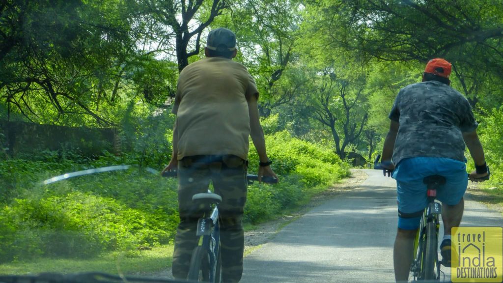 Bicycle Tour in Udaipur