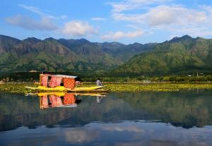 Shikara in Kashmir Lake