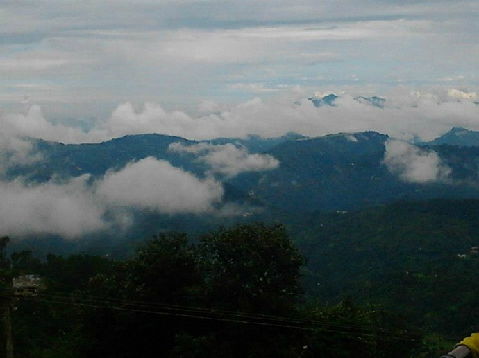Shoghi
