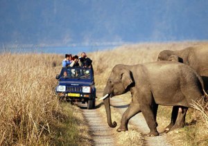Wildlife Sanctuaries in India