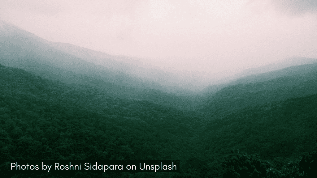misty view of Amba Ghat one of the popular ghats in maharashtra
