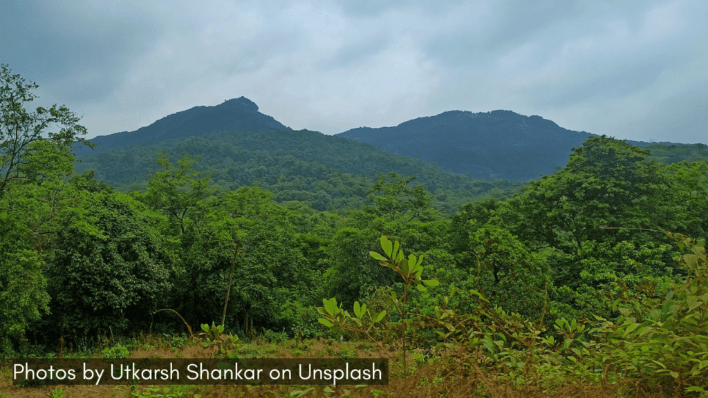 A scenic view of the lush hills of the Bhagwan Mahavir Wildlife Sanctuary in Goa during monsoon.