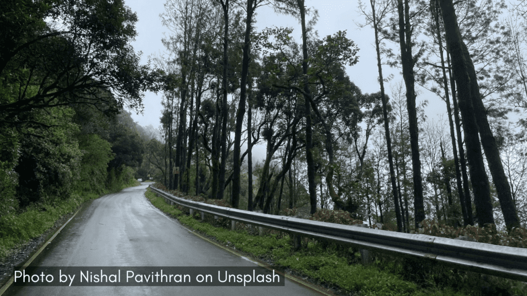 Chikamagalur is one of the best monsoon places in Karnataka along with coffee estates.