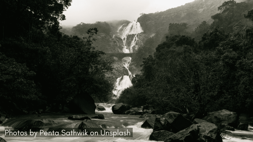A view of the cascading Dudhsagar Falls one of the places to visit in Goa in monsoon.