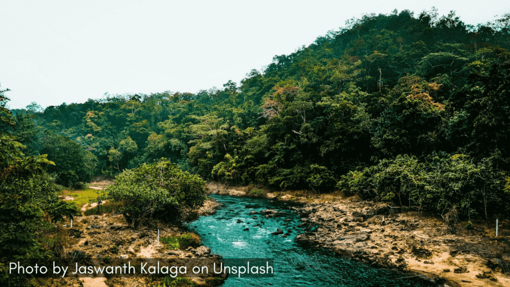 A scenic view in Maredumilli one of the best monsoon destinations in Andhra Pradesh