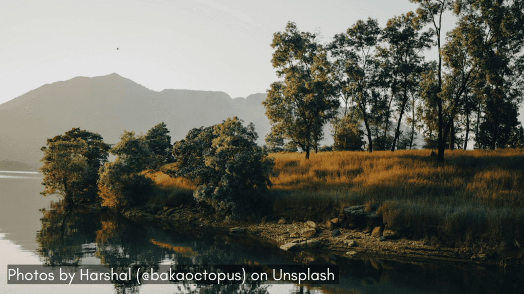 A view of Mulshi Lake one of the places to visit near pune in monsoon