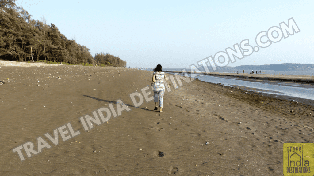Walking along the blackish sand of Suruchi Beach in Vasai.