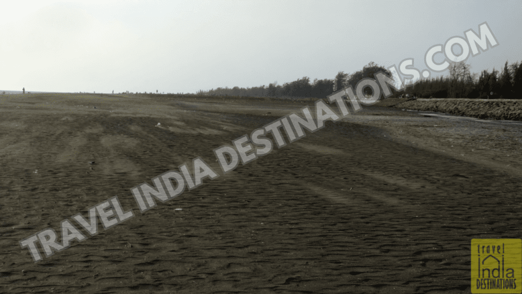A view of Suruchi Beach Vasai looking northwards