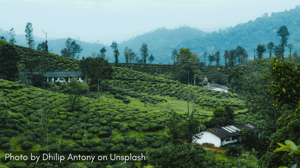 A view of the rolling hills in Valparai Tamil Nadu