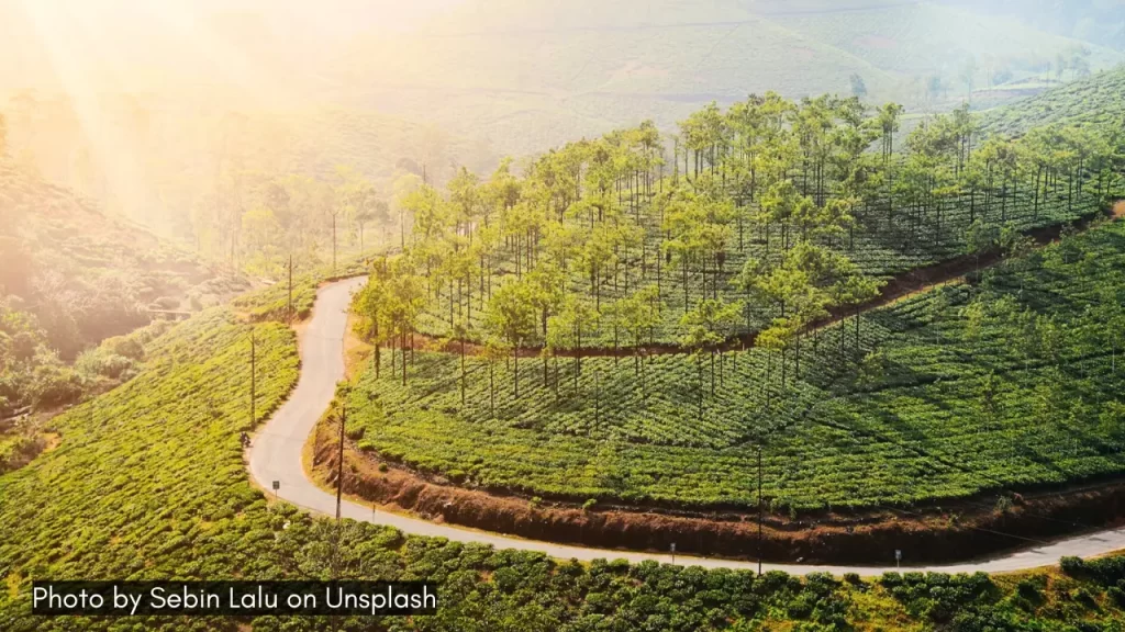 A lush green view of Vagamon in Kerala one of the best places to visit in monsoon in South India