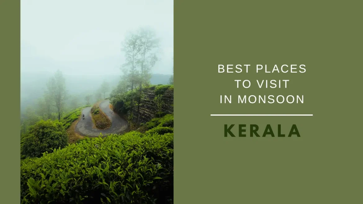 A shot of winding road in Munnar, one of the best places to visit in monsoon in Kerala.