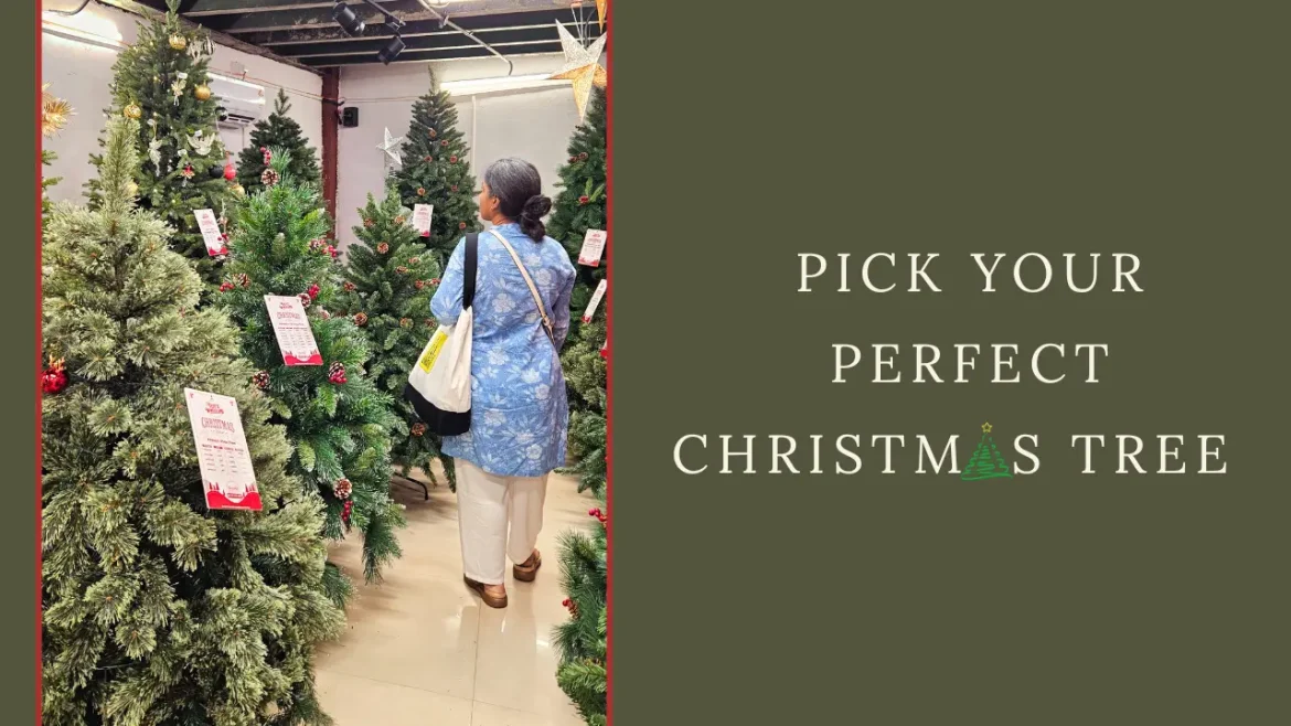 Woman walking through a range of large Christmas trees in India, carrying a bag with TID logo.