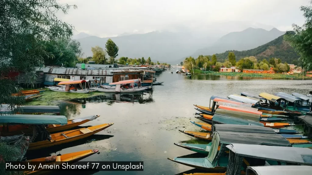 A picture of shikaras parked in Dal Lake in Srinagar, one of the best places for honeymoon in India in April.