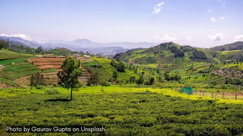 a scenic view of green hills in coonoor tamil nadu one of the best hill stations in India near airports