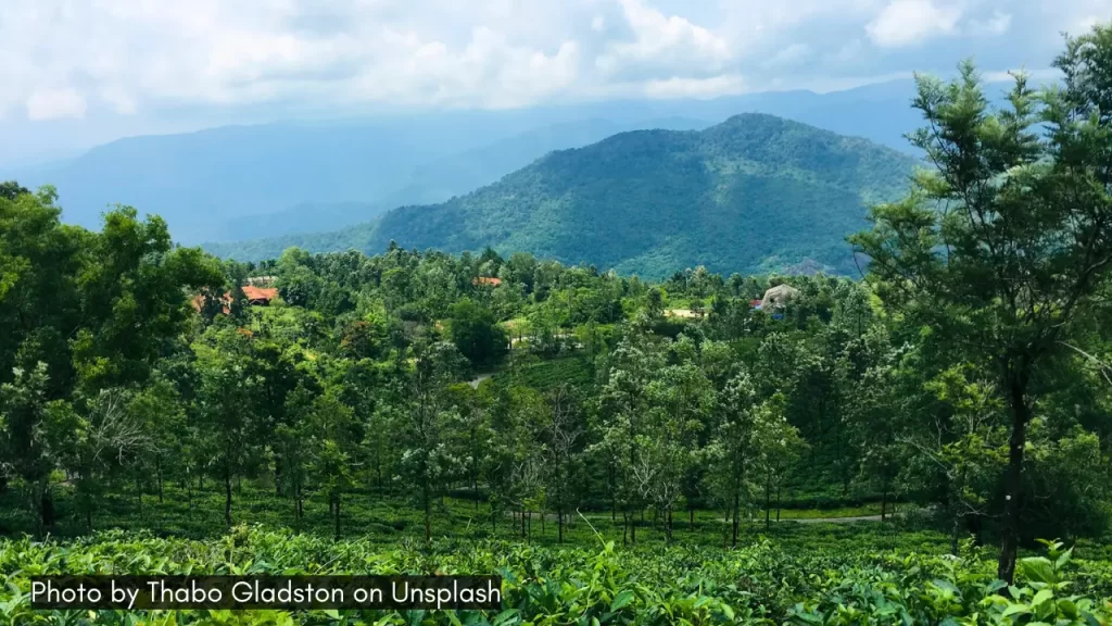 a lush green view of Ponmudi in Kerala one of the best hill stations in India