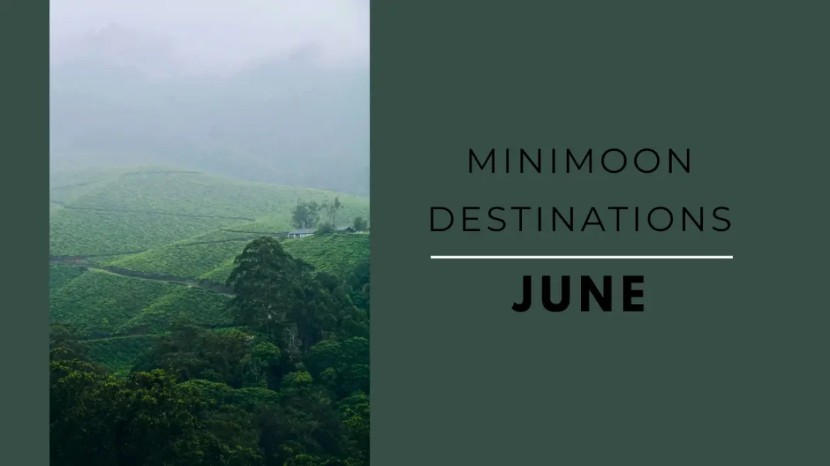 A picture of tea estate in Munnar during the monsoon month of June ideal for minimoon.