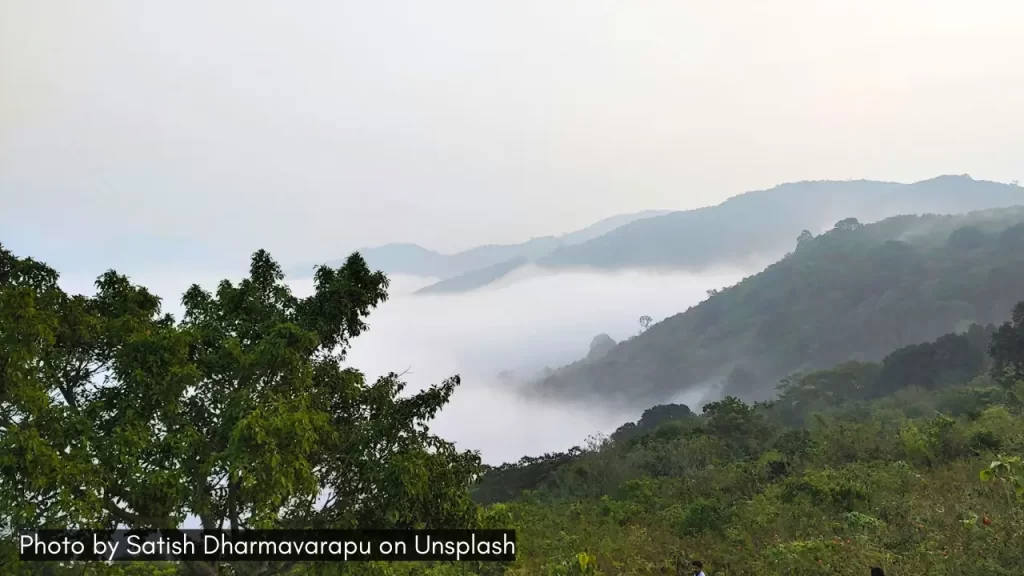The misty hills of Lambasingi in Andhra Pradesh is a great place for a quick getaway during monsoon season in July.