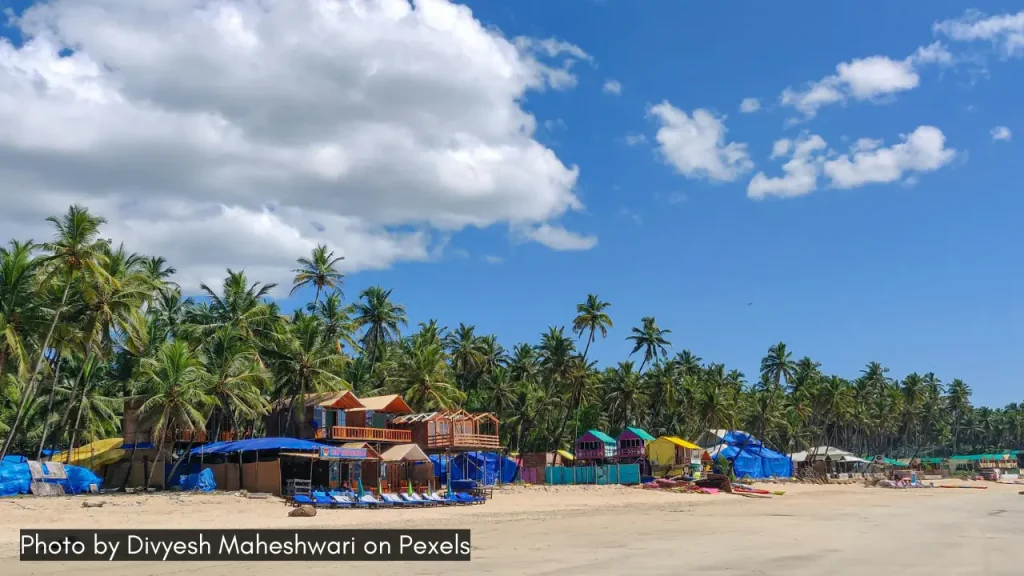 A stunning view of the Palolem Beach in South Goa on a clear bright day with blue sky and white clouds with shacks and parasols.