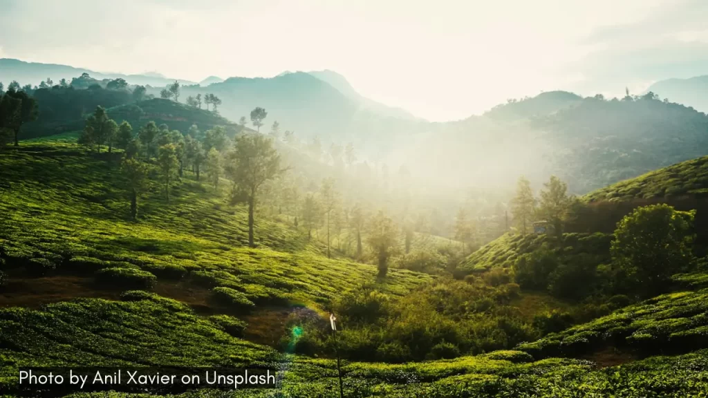A scenic view in Wayanad, one of the best places to visit in monsoon in Kerala and Western Ghats.