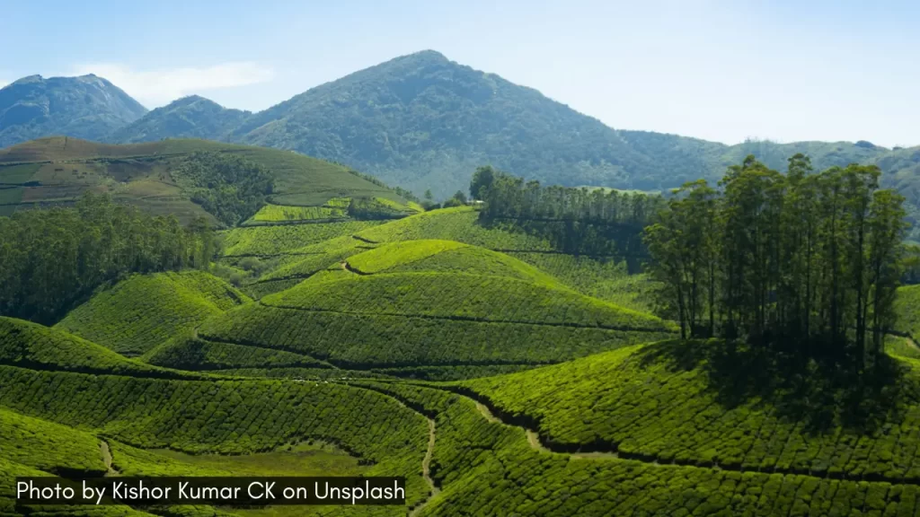 A scenic view of Munnar in Kerala makes it one of the best places for honeymoon in India in April