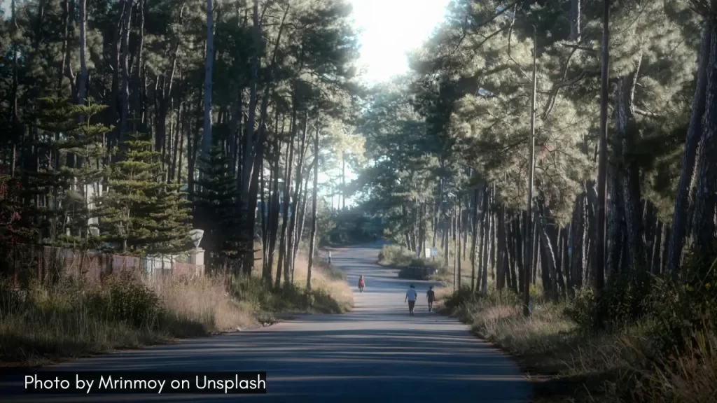 a road in shillong meghalaya one of the best places to visit in March in India for a tranquil holiday