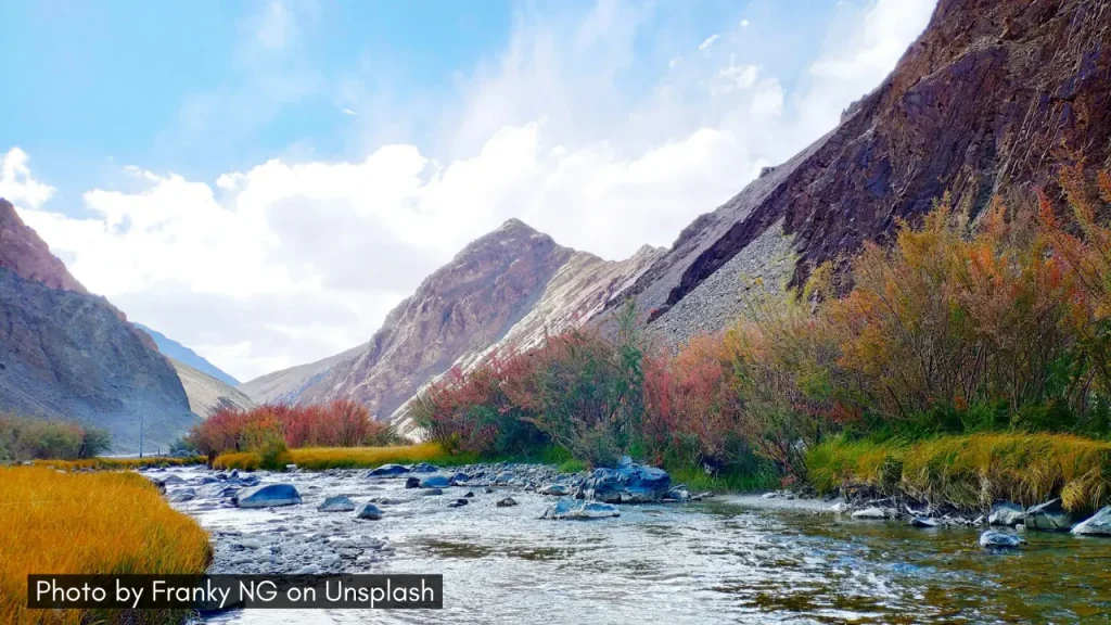 A panoramic shot of pink flowers in Leh Ladakh along the river stream, one of the best places to visit in June in India for honeymoon.